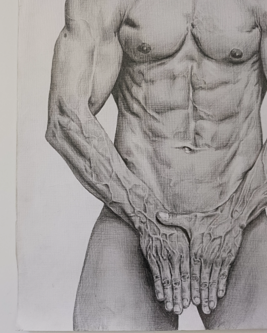 Dibujo realista en lápiz de figura masculina con gran detalle anatómico – obra de Yohan Pixone