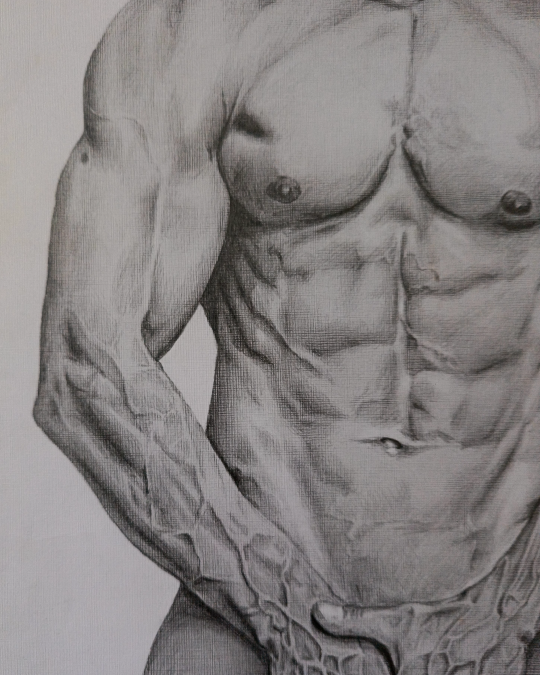 Dibujo realista en lápiz de figura masculina con gran detalle anatómico – obra de Yohan Pixone