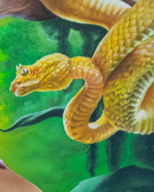 Pintura al óleo de mujer trigueña con manos blancas y serpiente en selva caribeña – obra de Yohan Pixone