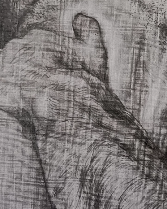 Dibujo realista en lápiz de hombre desnudo en giro dinámico, grafito sobre papel – obra de Yohan Pixone