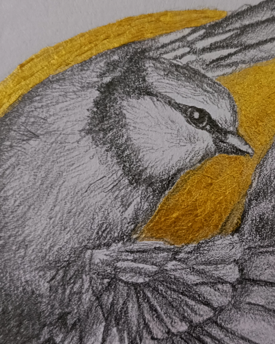 Dibujo realista en lápiz y acrílico de hombre en tensión con fondo dorado y ave en vuelo – obra de Yohan Pixone