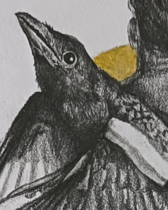 Dibujo realista en lápiz y dorado de hombre desnudo con aureola, postura dinámica – obra de Yohan Pixone