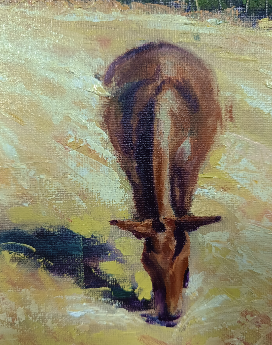Registro de proceso de Yohan Pixone para una pintura de caballo en Las Gabias, con notas sobre campo, color y presencia silenciosa.