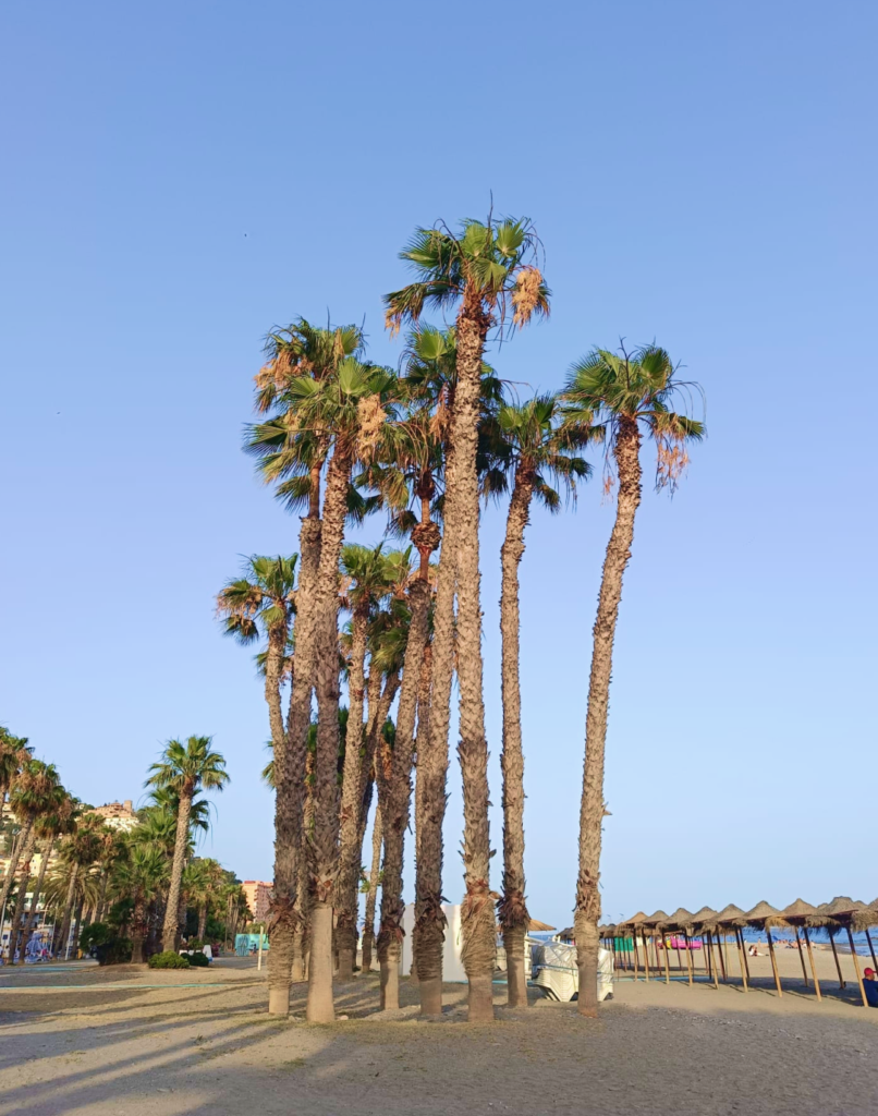 Playa de Almuñécar con sombrilla frente al mar, referencia para una acuarela al aire libre de Yohan Pixone.